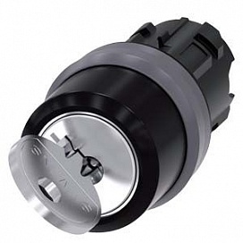 Key-Operated Switches