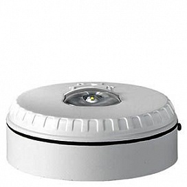 SOL-LX-W-WW - Beacon with white housing and white flash color for wall mounting